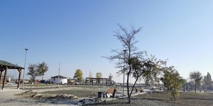 Revitalizare oras Magurele prin infiintare Parc Dumitrana - 26305