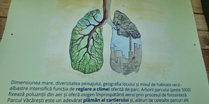 3 iunie 2022 - Tur ghidat in Parcul Natural Vacaresti - prima arie naturala urbana din Romania - eveniment partener EU Green Week - 26350